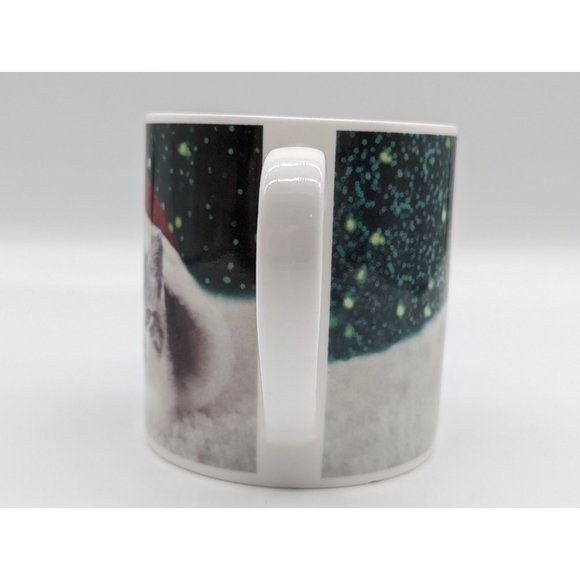 Kittens Christmas Santa Hat Photo Mug Bone China Rose of England Cat Lovers - Picture 3 of 8